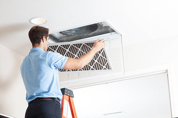 Best Central Air Repair  in Dike, IA